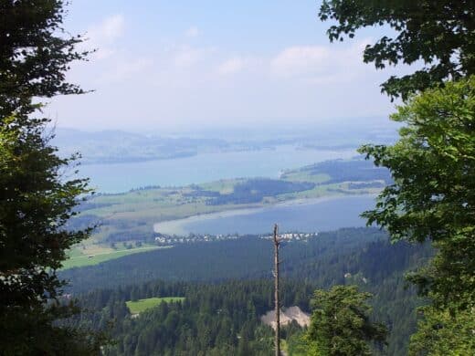 Blick auf den Bannwaldsee und den Forggensee vom Aufstieg von der Drehhütte auf den Tegelberg