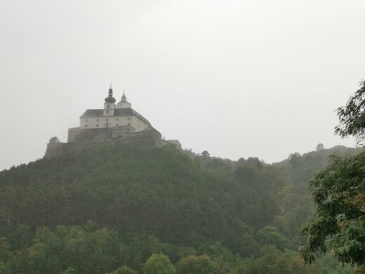 Die Burg Forchtenstein mystisch im Regen/Nebel