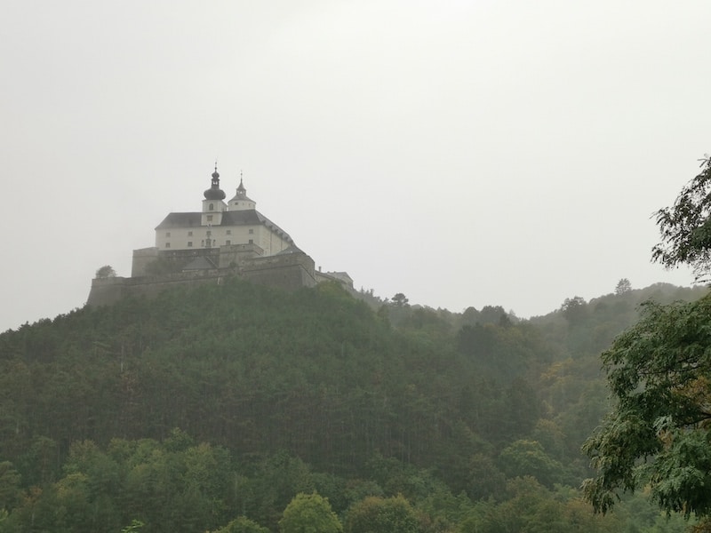 Die Burg Forchtenstein mystisch im Regen/Nebel