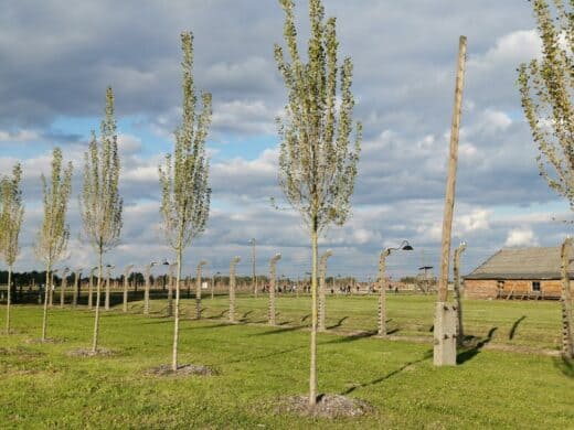 Unfassbar, wie groß das Konzentrationslager Auschwitz-Birkenau war