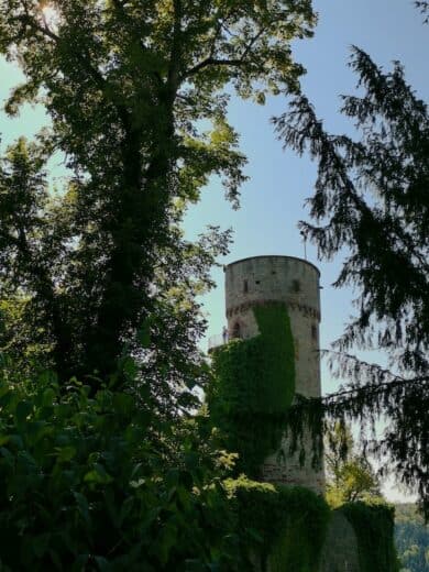 Turm der Burgruine Hohennagold