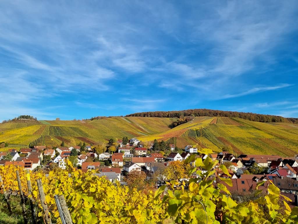 Blick über die Weinberge auf Strümpfelbach
