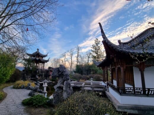 Chinagarten im Sonnenuntergang
