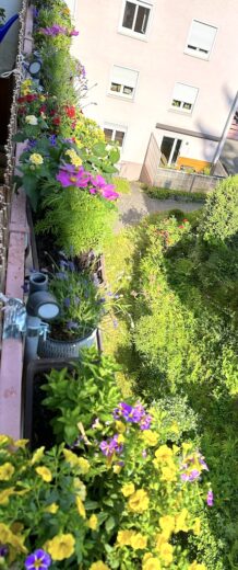 Einmal frisch bepflanzter Balkon, bin gespannt, wie das in 1-3 Wochen aussieht