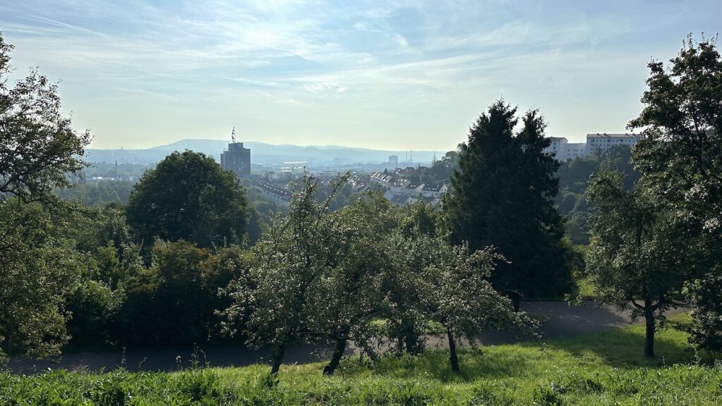 Blick vom Wartberg ins Neckartal gegen die Sonne