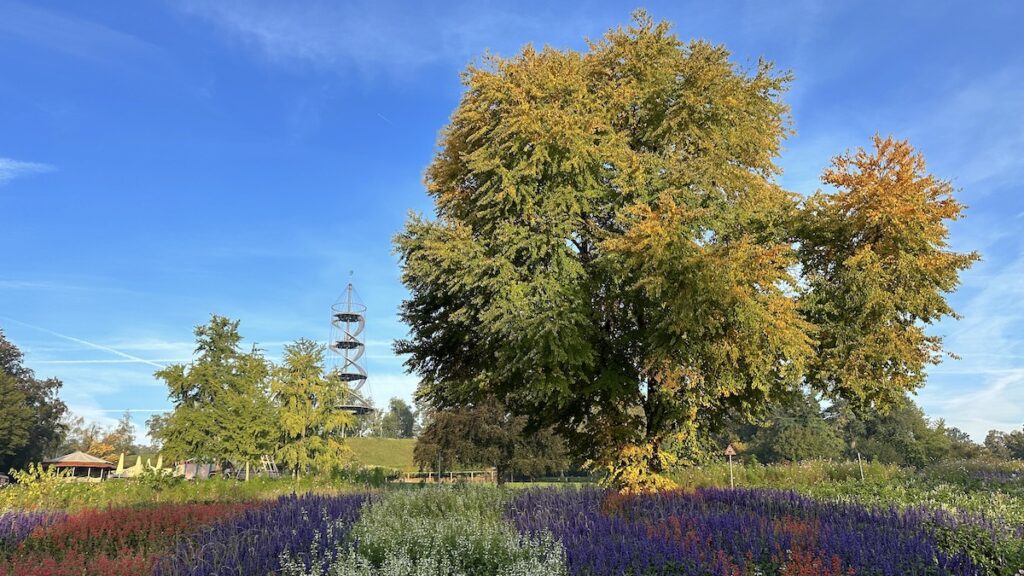 Herrlich leuchtende Farben im Höhenpark Killesberg