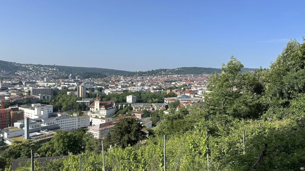Ausblick beim Morgensspaziergang