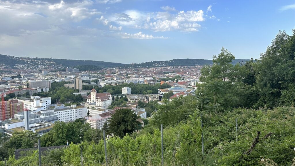 Guter Ausblick bei der Morgenrunde