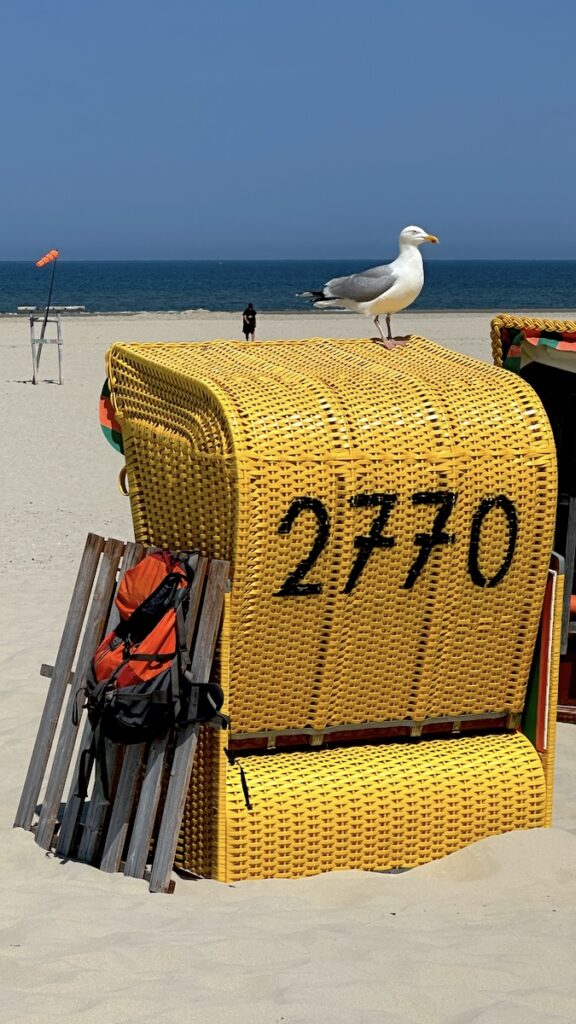 Gelber Strandkorb (2770) mit Möwe