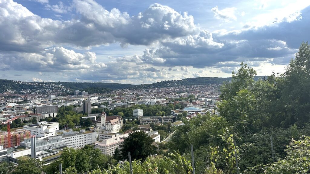 Spaziergangsblick 