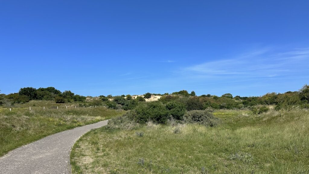 Wanderung durch den Nationalpark Zuid-Kennemerland