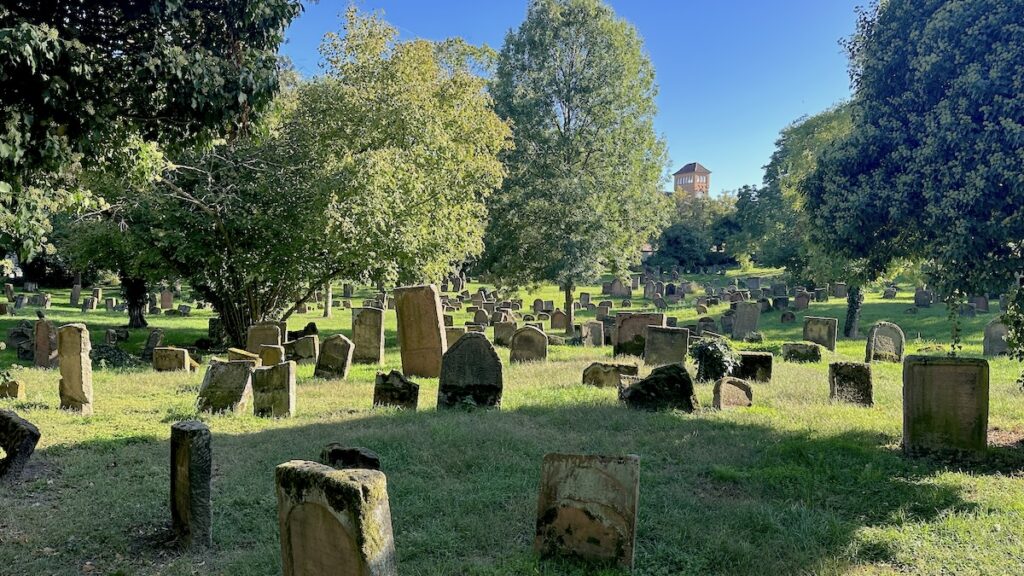 Auf dem jüdischen Friedhof in Worms
