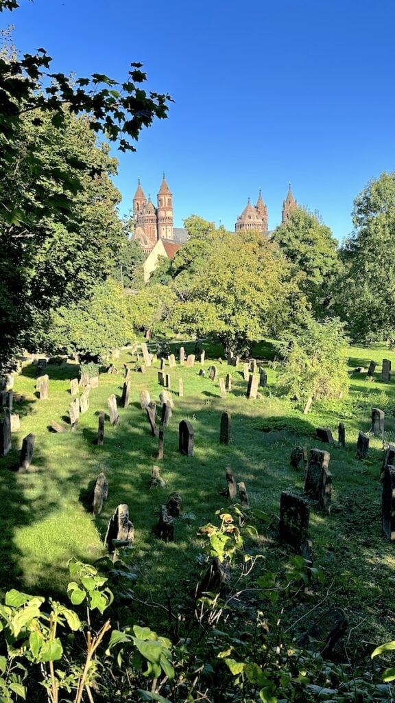 Martin-Buber-Blick vom jüdischen Friedhof auf den Wormser Dom