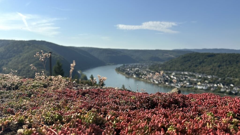 Blick von der Marksburg auf den Rhein