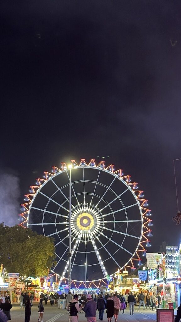 Riesenrad bei Nacht auf dem Wasen