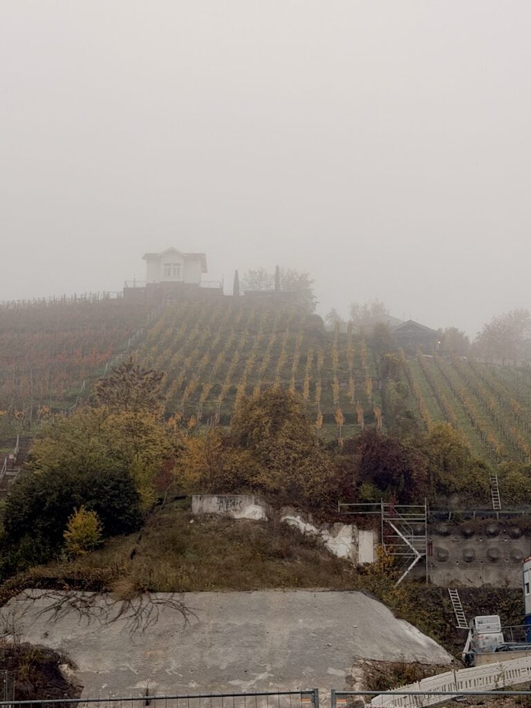 Standardbild auf dem Weg zum Zug (IHK Weinberg mit Wengerterhäuschen)
