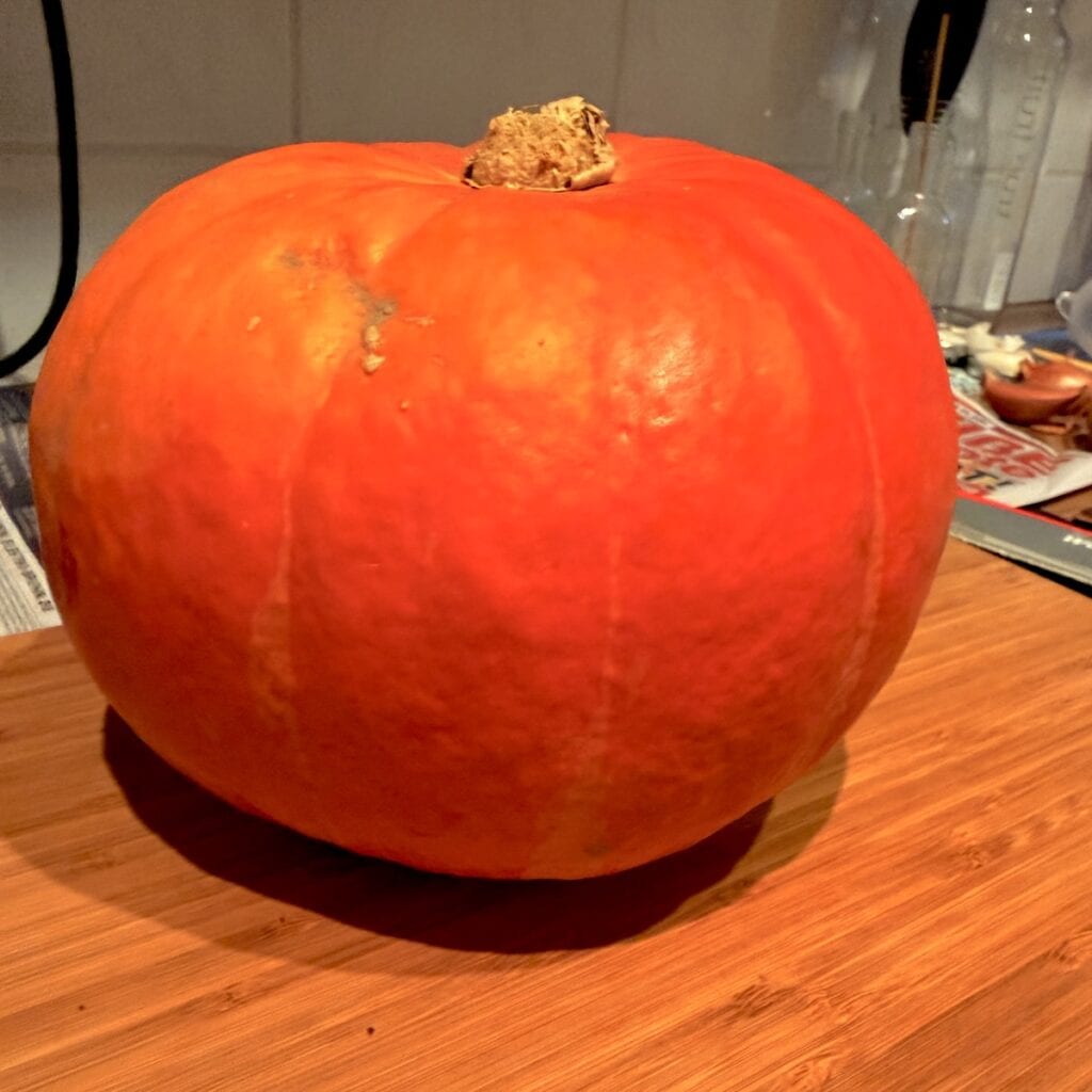 Ein Monster-Kürbis zum Verarbeiten für mich