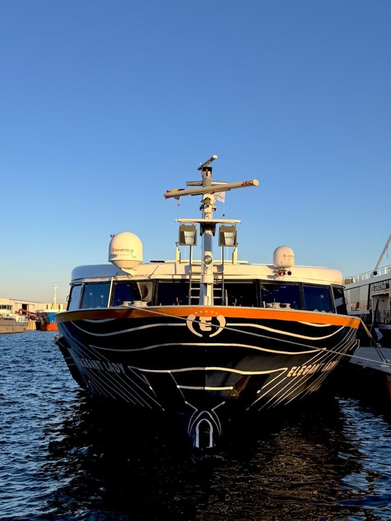 Die MS Elegant Lady von Plantours in Gent