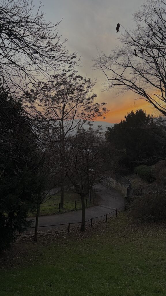 Sonnenuntergang auf meiner kurzen Spazierrunde