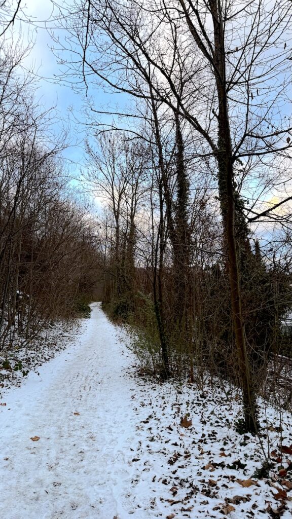 Winterweg. Und ein Weg, den ich noch nie gegangen bin