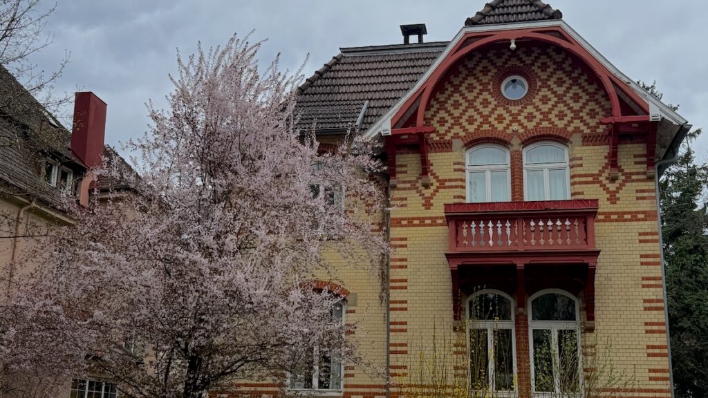 Anderer schön blühender Baum vor einem tollen Haus