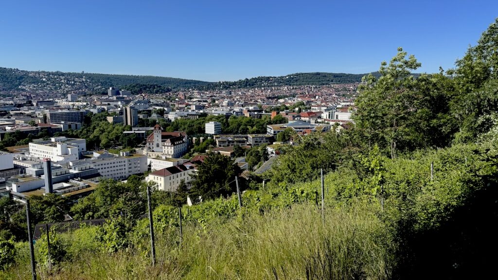Ausblick am Samstag beim Spaziergang