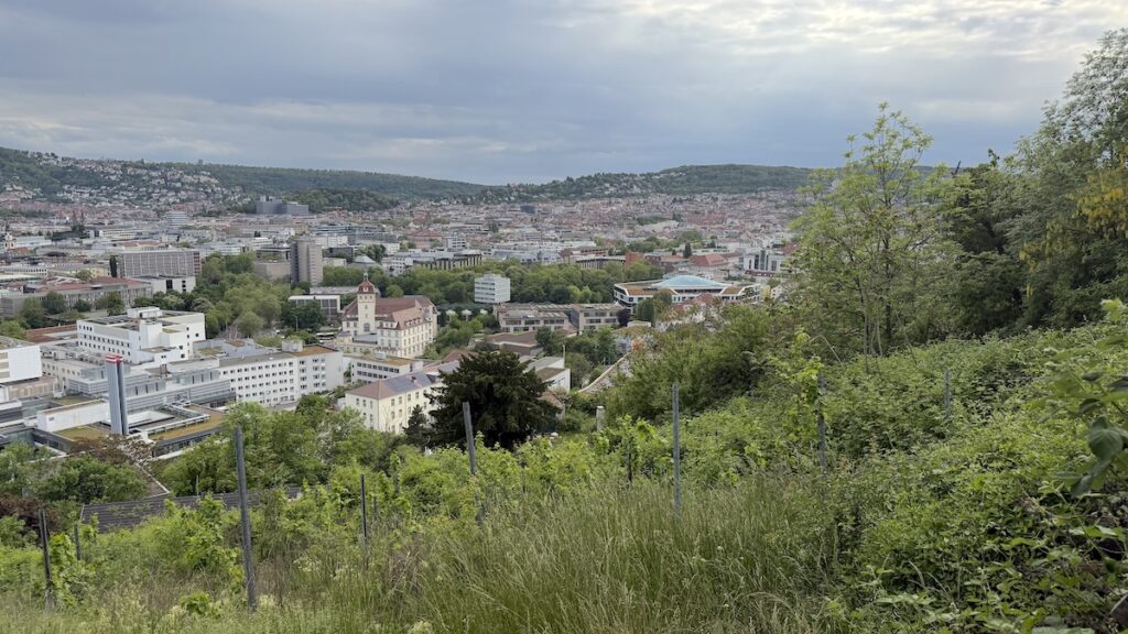 Ausblick beim Abendspaziergang