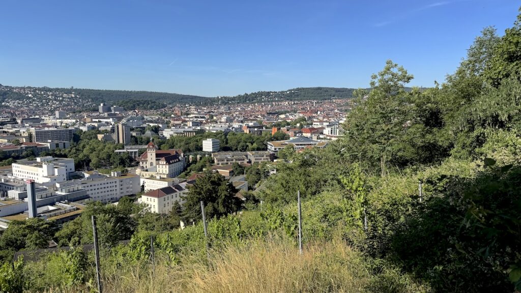 Morgenrunde am Freitag, immer noch strahlendblauer Himmel