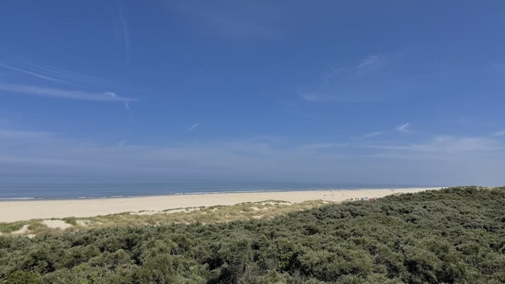 Blick von einer kleinen Aussichtsplattform auf den Juister Sandstrand und das Meer