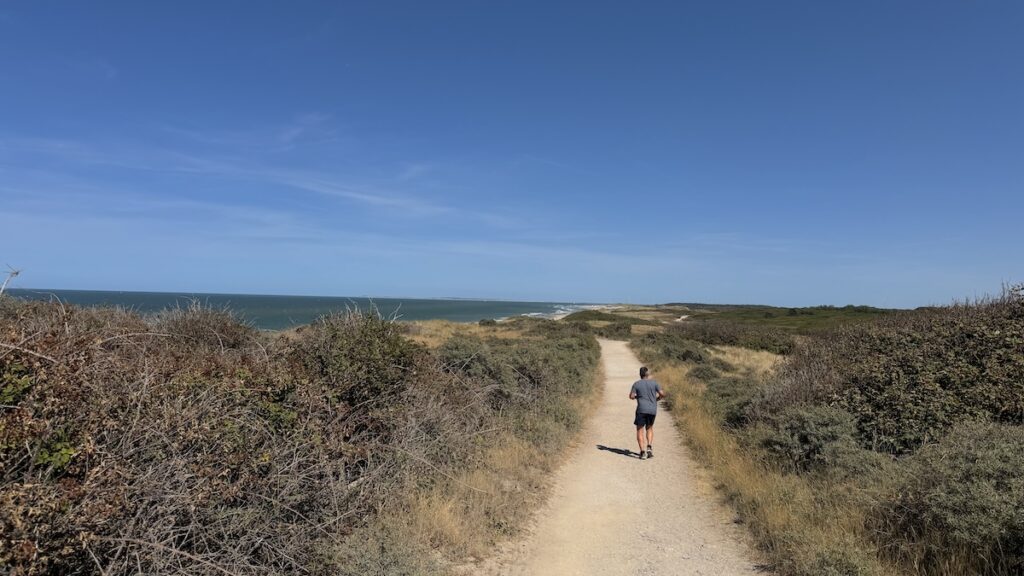 Dünen zwischen Domburg und Oostkapelle