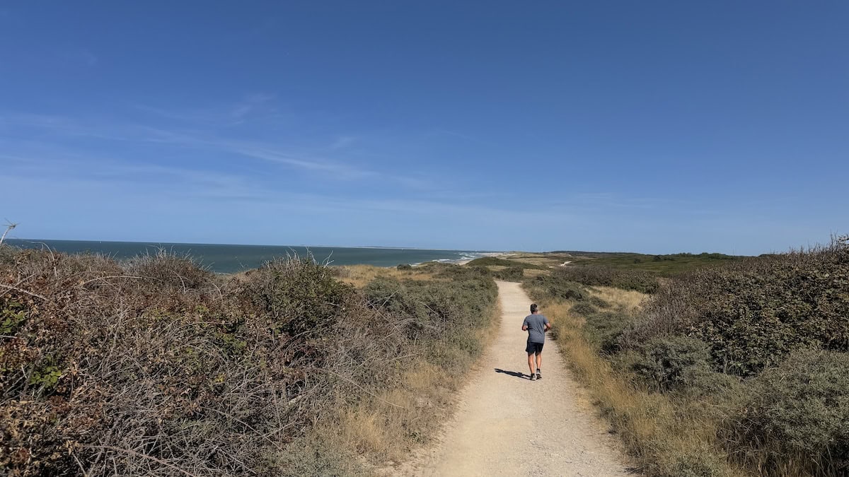 Dünen zwischen Domburg und Oostkapelle
