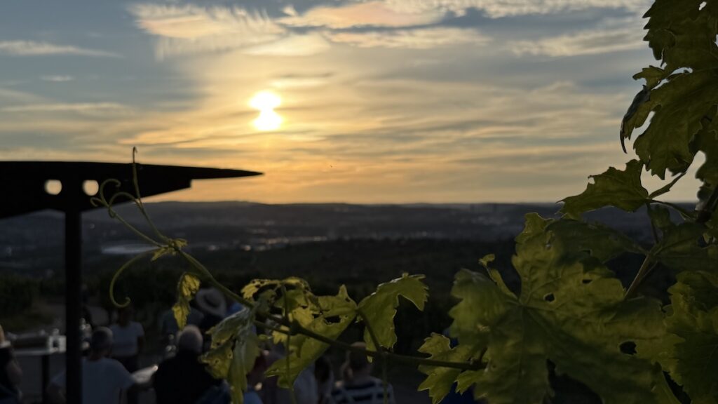 Der Sonnenuntergang in den Weinbergen beginnt