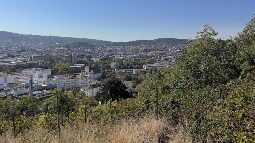 Spaziergangsaussicht am Montag