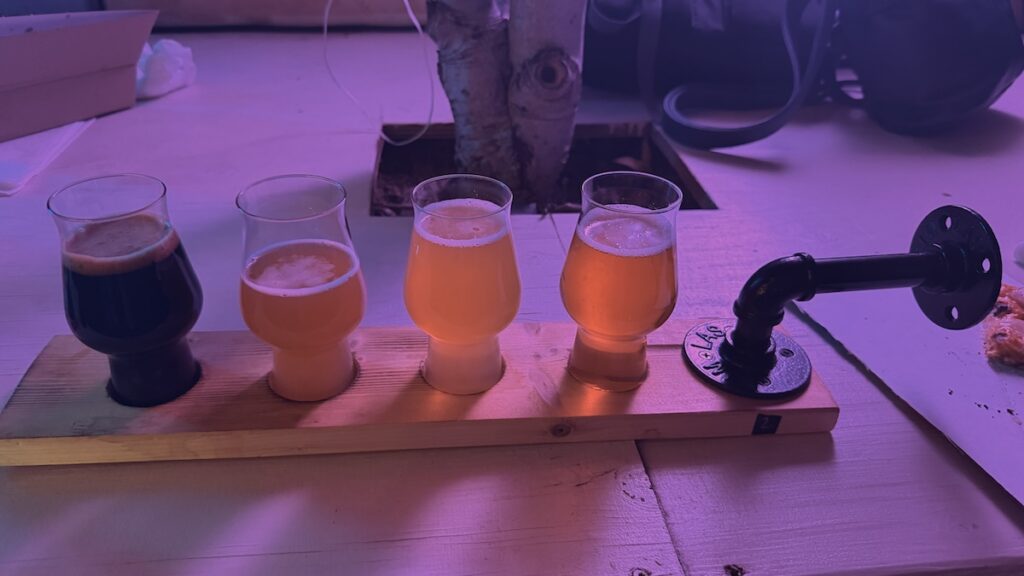 Tasting Tray 2 von Hop around the World